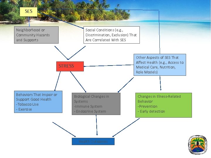 SES Neighborhood or Community Hazards and Supports Social Conditions (e. g. , Discrimination, Exclusion)