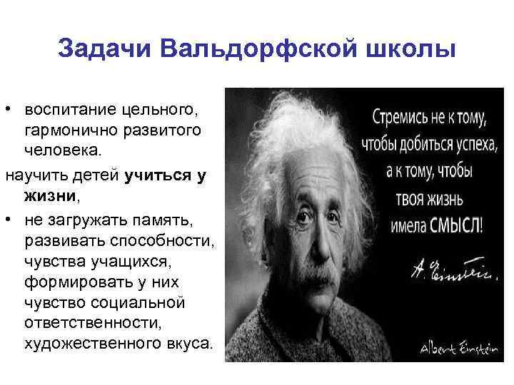Задачи Вальдорфской школы • воспитание цельного, гармонично развитого человека. научить детей учиться у жизни,