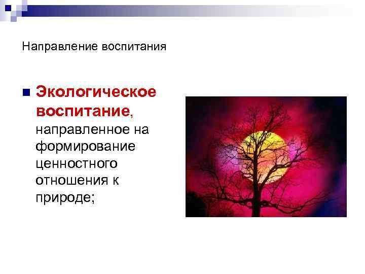 Направление воспитания n Экологическое воспитание, направленное на формирование ценностного отношения к природе; 