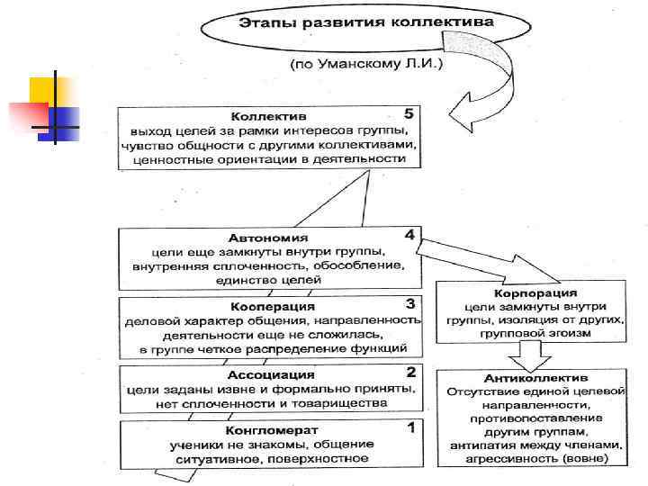 Этапы развития коллектива 