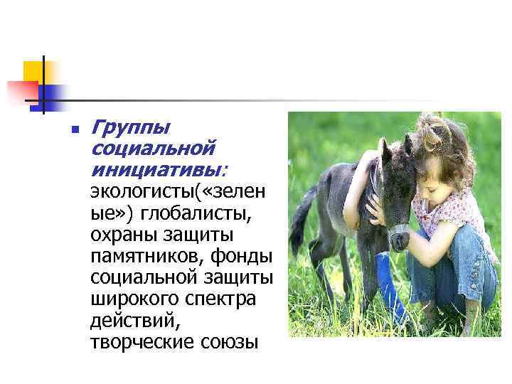 n Группы социальной инициативы: экологисты( «зелен ые» ) глобалисты, охраны защиты памятников, фонды социальной