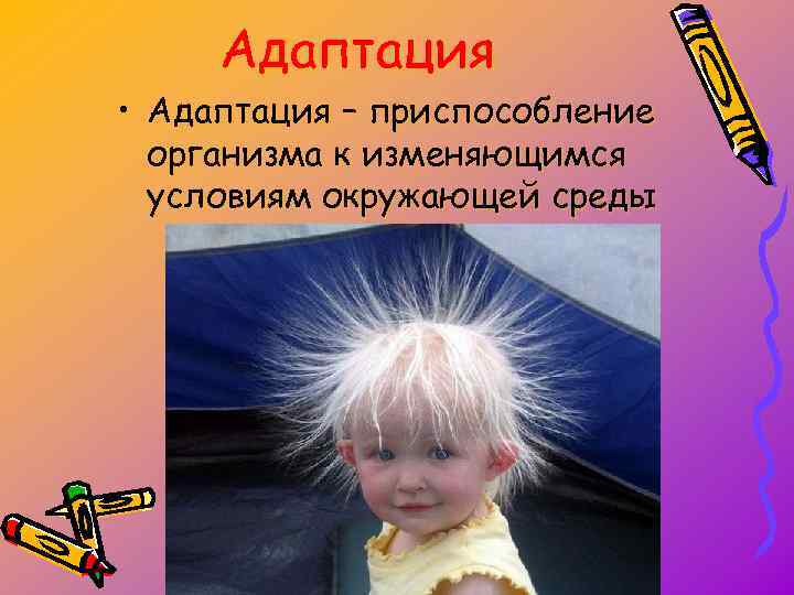 Адаптация • Адаптация – приспособление организма к изменяющимся условиям окружающей среды 