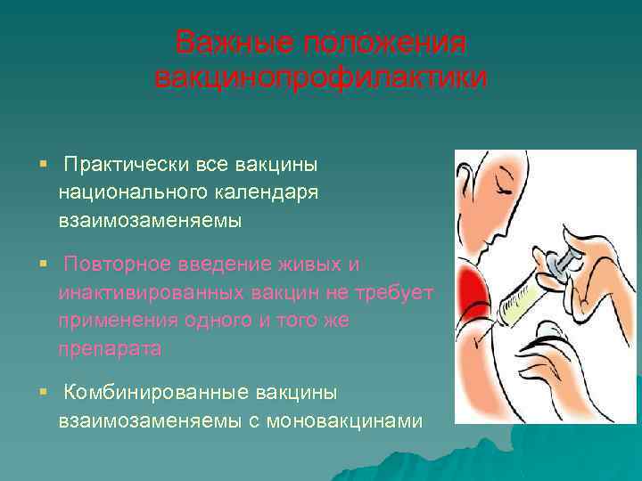 Важные положения вакцинопрофилактики § Практически все вакцины национального календаря взаимозаменяемы § Повторное введение живых