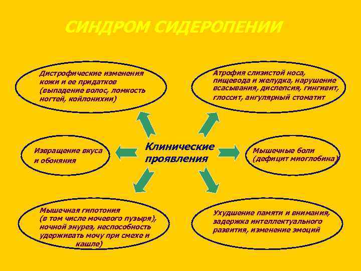 СИНДРОМ СИДЕРОПЕНИИ Дистрофические изменения кожи и ее придатков (выпадение волос, ломкость ногтей, койлонихии) Извращение