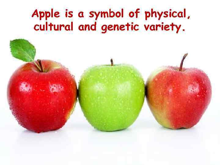 Apple is a symbol of physical, cultural and genetic variety. 