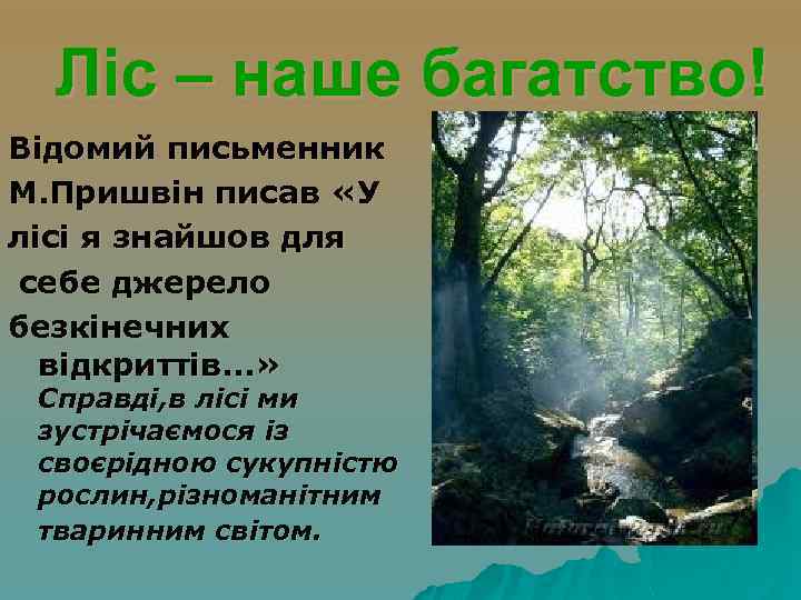 Ліс – наше багатство! Відомий письменник М. Пришвін писав «У лісі я знайшов для