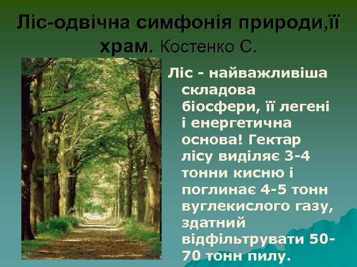 Лiс-одвiчна симфонiя природи, її храм. Костенко С. Лiс - найважливiша складова бiосфери, її легенi