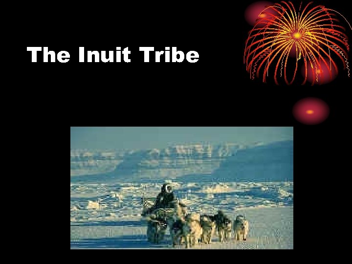 The Inuit Tribe 