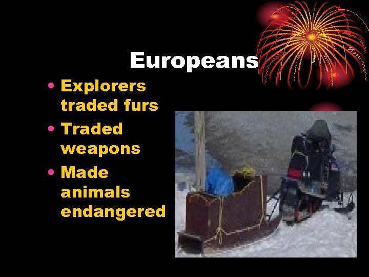 Europeans • Explorers traded furs • Traded weapons • Made animals endangered 