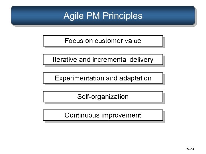 Agile PM Principles Focus on customer value Iterative and incremental delivery Experimentation and adaptation