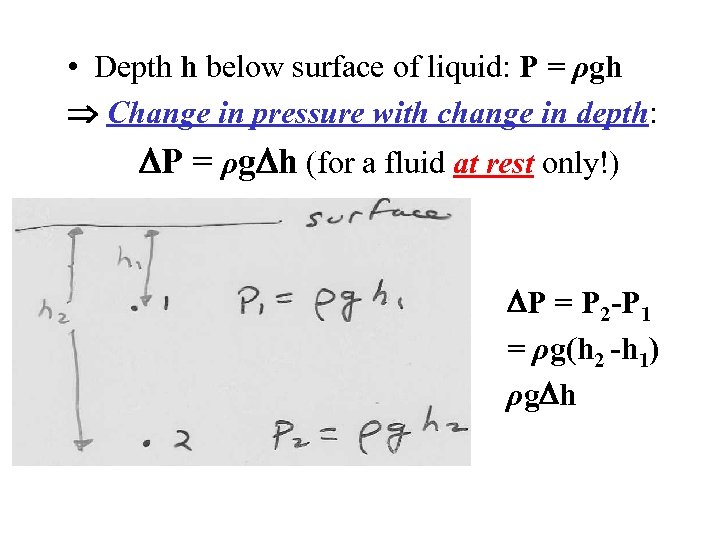  • Depth h below surface of liquid: P = ρgh Change in pressure