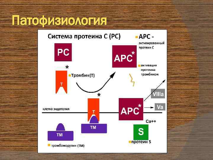 Патофизиология 