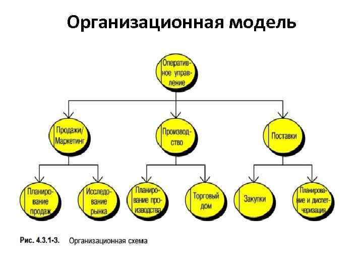 Организационная модель