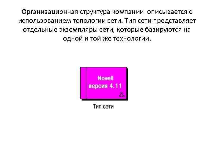 Организационная структура компании описывается с использованием топологии сети. Тип сети представляет отдельные экземпляры сети,