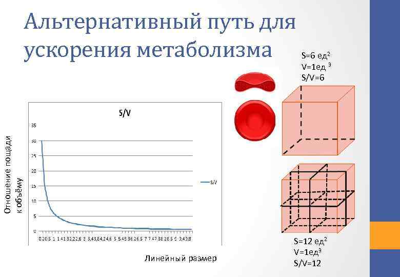 S=6 ед 2 V=1 ед 3 S/V=6 Отношение пощади к объёму Альтернативный путь для