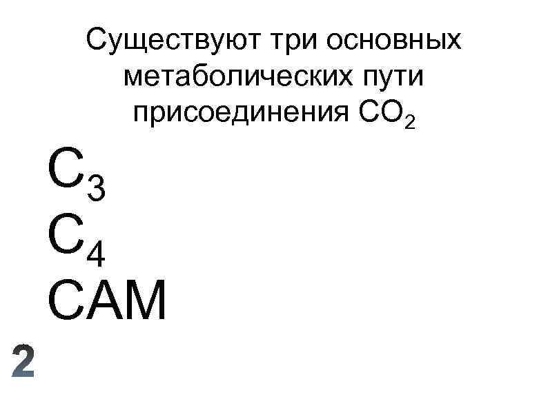 Существуют три основных метаболических пути присоединения CO 2 C 3 C 4 CAM 