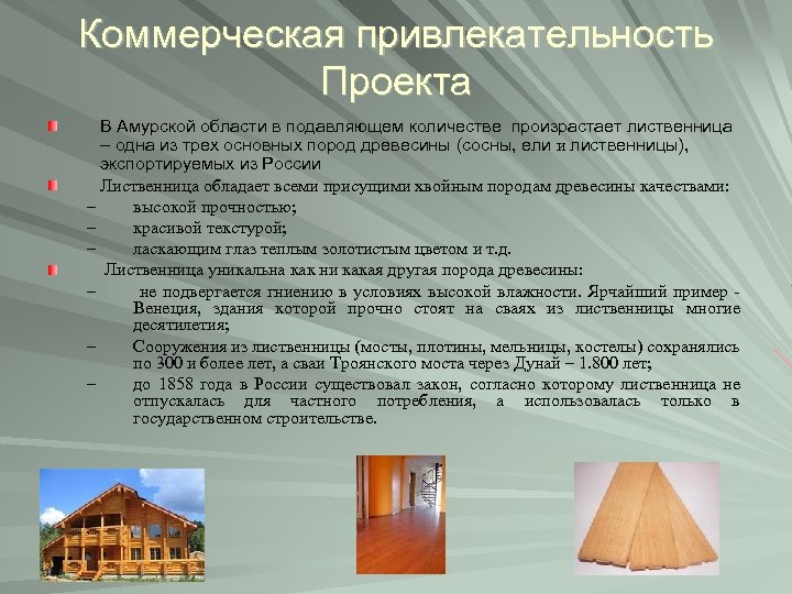 Коммерческая привлекательность Проекта В Амурской области в подавляющем количестве произрастает лиственница – одна из