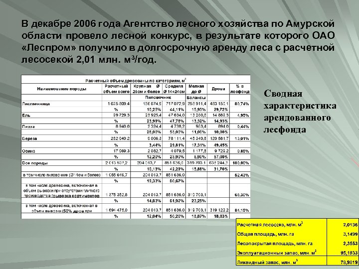 В декабре 2006 года Агентство лесного хозяйства по Амурской области провело лесной конкурс, в