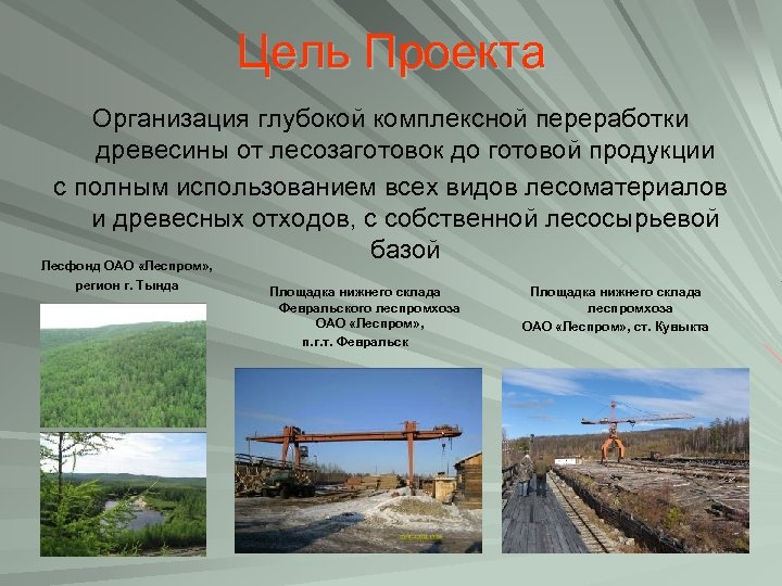 Цель Проекта Организация глубокой комплексной переработки древесины от лесозаготовок до готовой продукции с полным