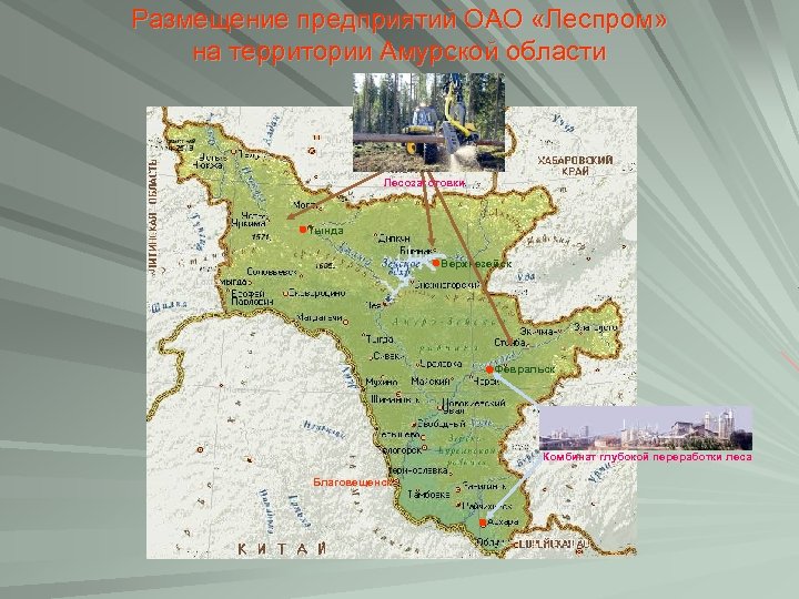 Размещение предприятий ОАО «Леспром» на территории Амурской области Лесозаготовки Тында Верхнезейск Февральск Комбинат глубокой