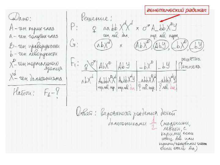 генетический радикал 