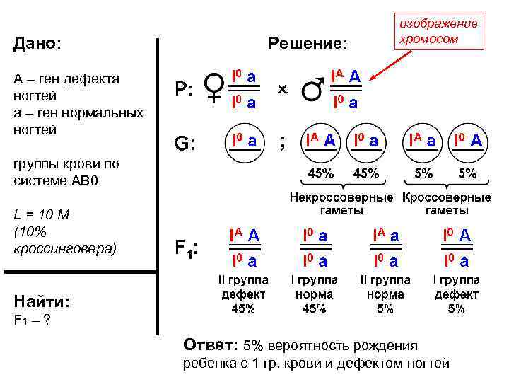 Дано: Решение: изображение хромосом А – ген дефекта ногтей а – ген нормальных ногтей