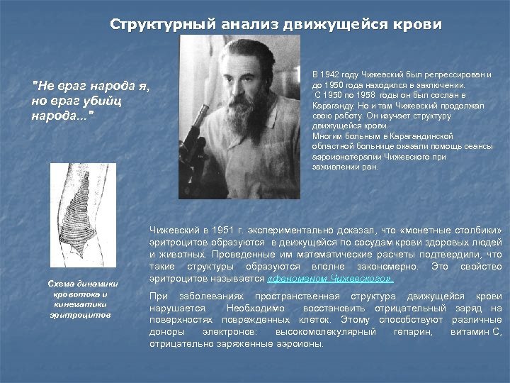 Структурный анализ движущейся крови 