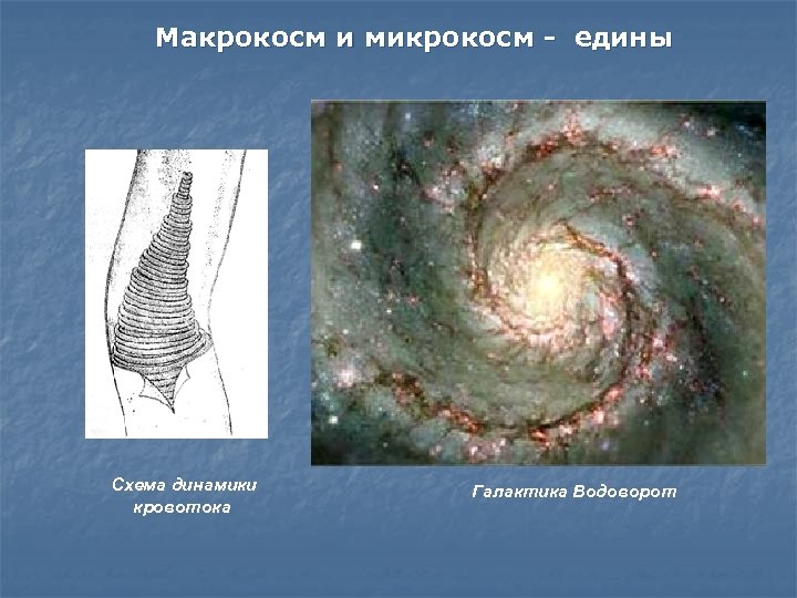 Макрокосм и микрокосм - едины Схема динамики кровотока Галактика Водоворот 