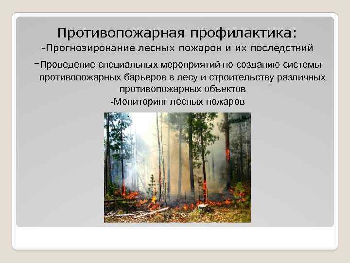Профилактика лесных пожаров защита населения. Прогнозирование лесных пожаров. Противопожарная профилактика лесных пожаров. Прогнозирование и мониторинг лесных пожаров. Профилактические мероприятия по предупреждению лесных пожаров.