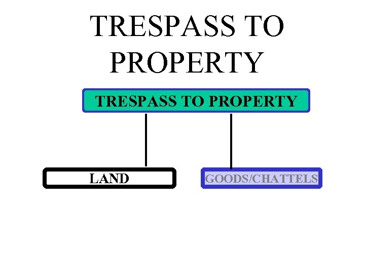 TRESPASS TO PROPERTY LAND GOODS/CHATTELS 