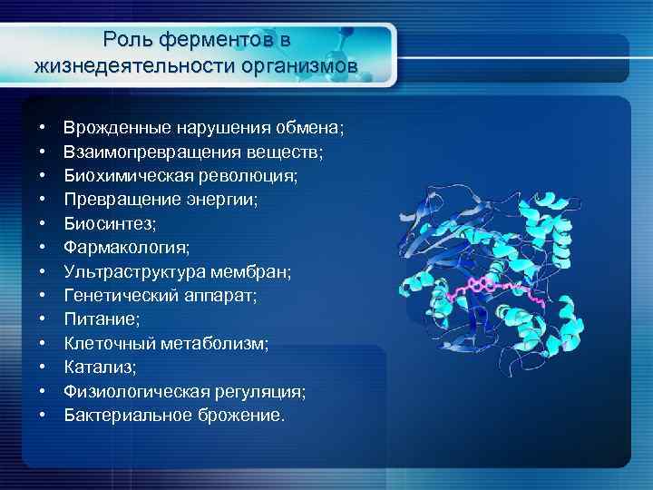 Роль ферментов в жизнедеятельности организмов • • • • Врожденные нарушения обмена; Взаимопревращения веществ;