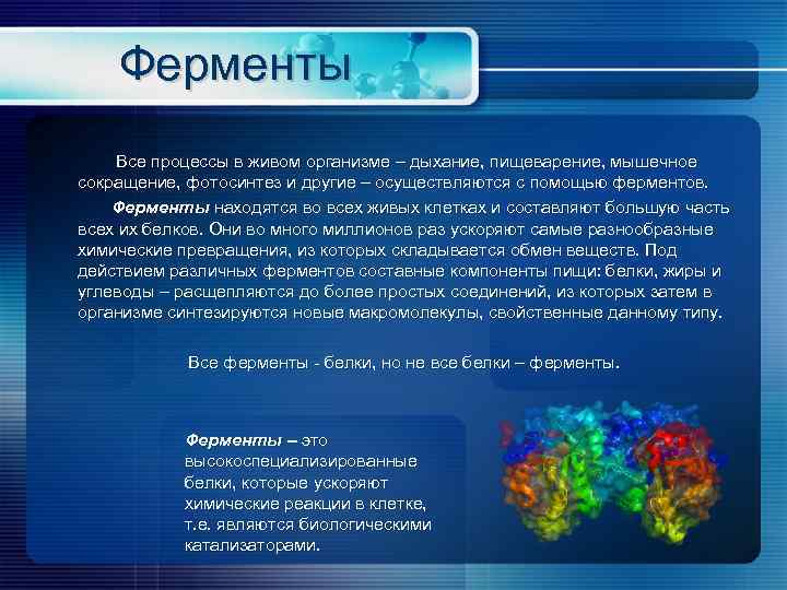 Ферменты Все процессы в живом организме – дыхание, пищеварение, мышечное сокращение, фотосинтез и другие