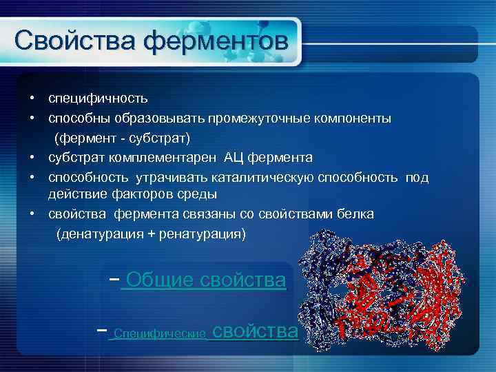 Свойства ферментов • специфичность • способны образовывать промежуточные компоненты (фермент - субстрат) • субстрат