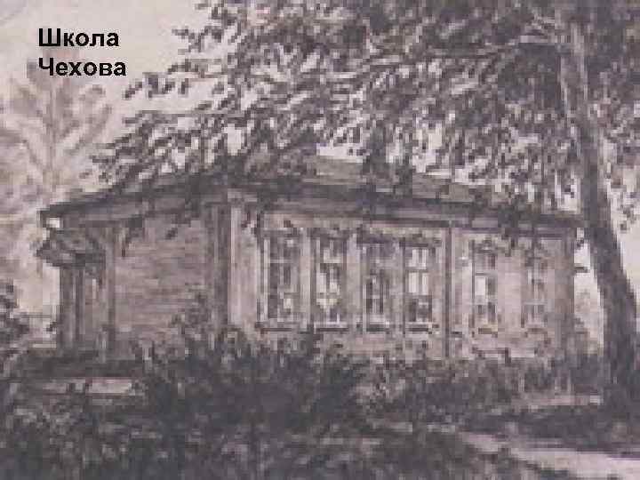 Школа Чехова 