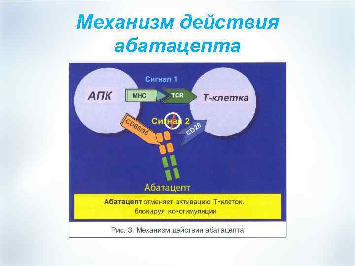 Основной механизм действия. Абатацепт механизм действия. Механизм побочных эффектов абатацепта. Абатацепт (Оренсия) механизм. Абатацепт РЛС.