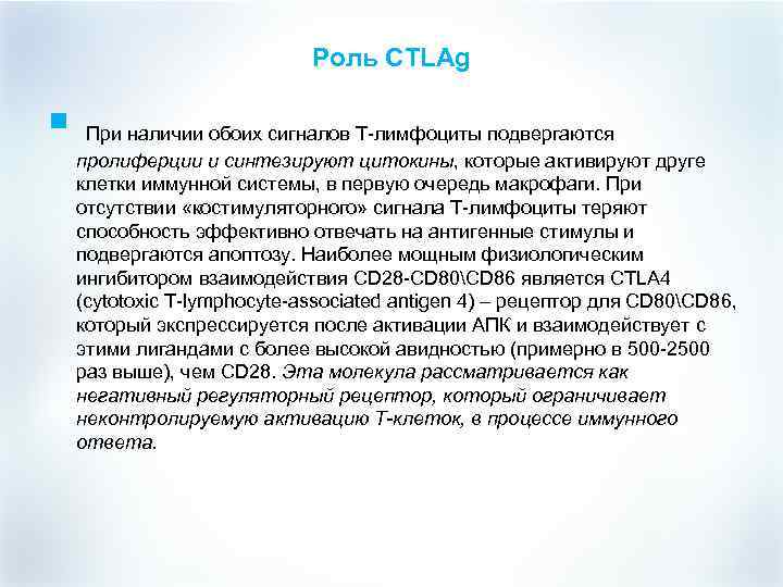 Роль CTLAg § При наличии обоих сигналов Т-лимфоциты подвергаются пролиферции и синтезируют цитокины, которые