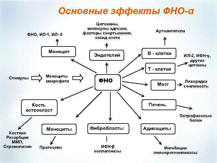 Фно фактор некроза опухоли