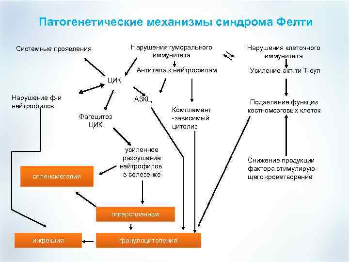 Патогенетические механизмы синдрома Фелти Нарушения гуморального иммунитета Системные проявления Антитела к нейтрофилам Нарушения клеточного