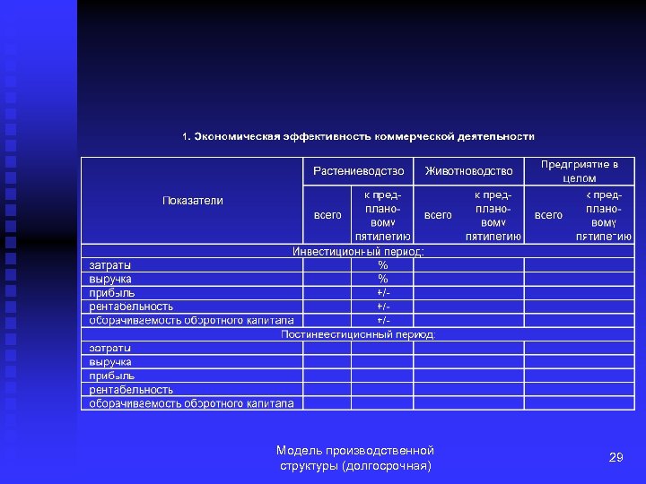 Модель производственной структуры (долгосрочная) 29 