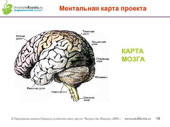 Ментальная карта проекта КАРТА МОЗГА © Программа школы бизнеса и личностного роста “Искусство Жизни»