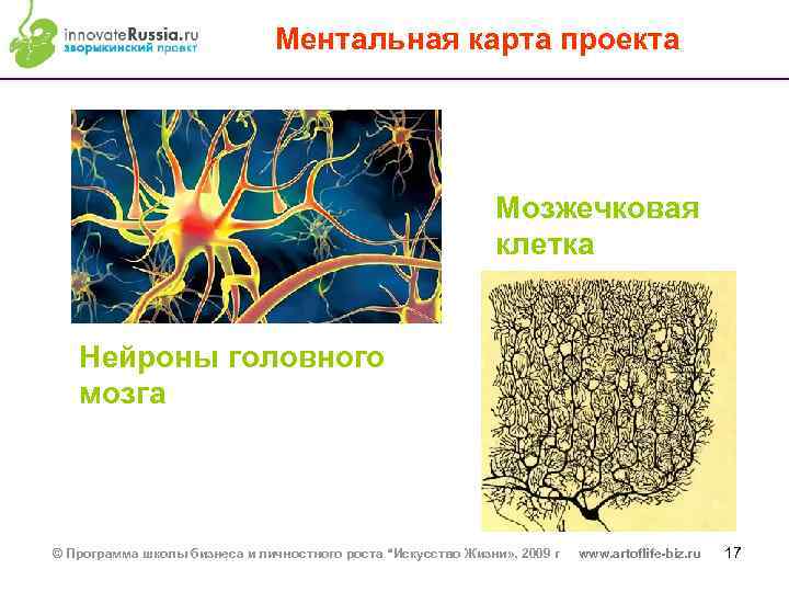 Ментальная карта проекта Мозжечковая клетка Нейроны головного мозга © Программа школы бизнеса и личностного