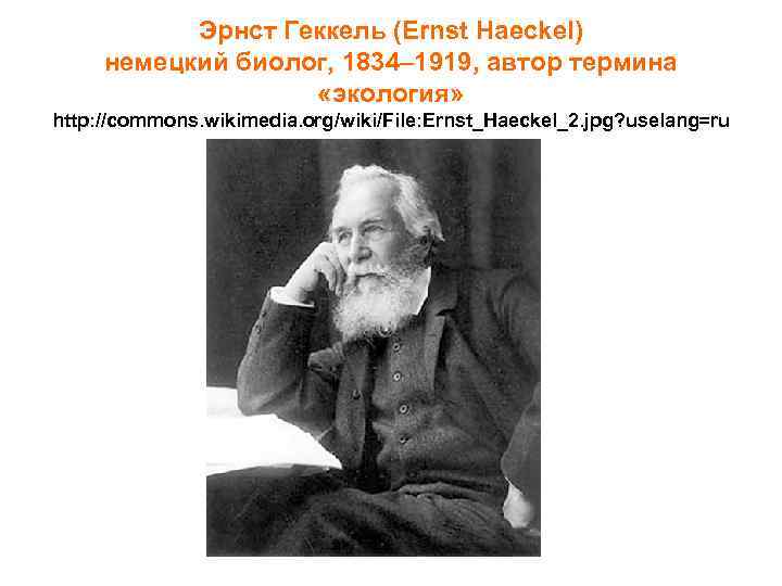 Эрнст Геккель (Ernst Haeckel) немецкий биолог, 1834– 1919, автор термина «экология» http: //commons. wikimedia.