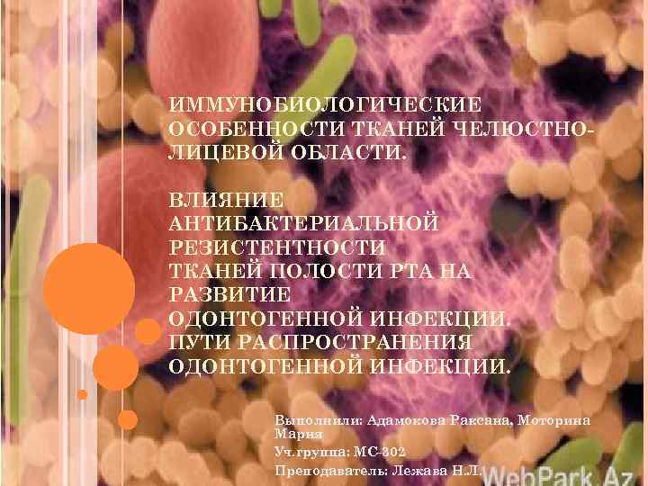 ИММУНОБИОЛОГИЧЕСКИЕ ОСОБЕННОСТИ ТКАНЕЙ ЧЕЛЮСТНОЛИЦЕВОЙ ОБЛАСТИ. ВЛИЯНИЕ АНТИБАКТЕРИАЛЬНОЙ РЕЗИСТЕНТНОСТИ ТКАНЕЙ ПОЛОСТИ РТА НА РАЗВИТИЕ ОДОНТОГЕННОЙ