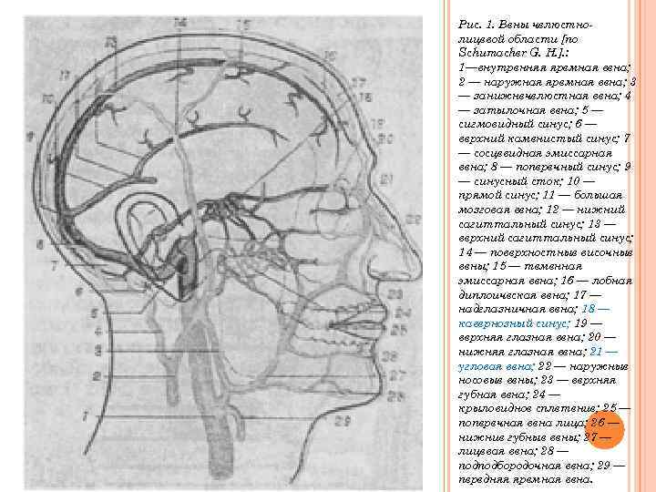 Рис. 1. Вены челюстнолицевой области [по Schumacher G. Н. ]. : 1—внутренняя яремная вена;