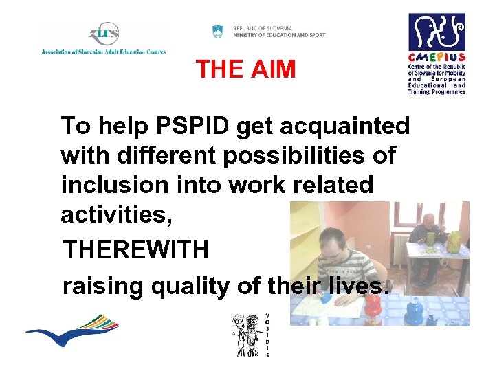 THE AIM To help PSPID get acquainted with different possibilities of inclusion into work