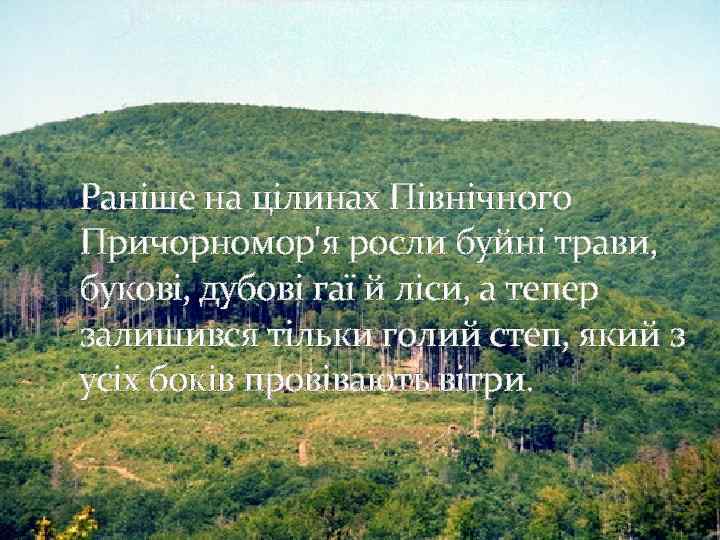 Раніше на цілинах Північного Причорномор'я росли буйні трави, букові, дубові гаї й ліси, а
