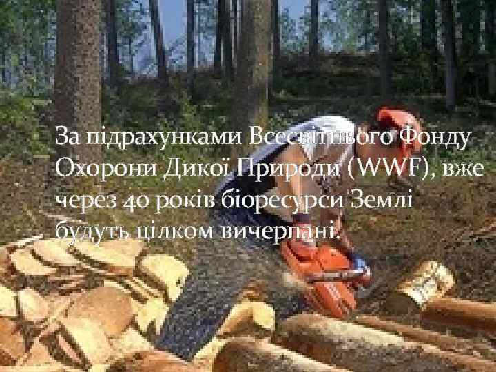 За підрахунками Всесвітнього Фонду Охорони Дикої Природи (WWF), вже через 40 років біоресурси Землі