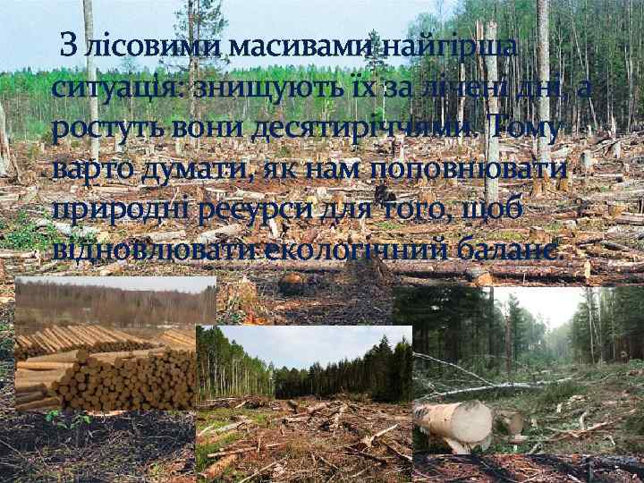  З лісовими масивами найгірша ситуація: знищують їх за лічені дні, а ростуть вони