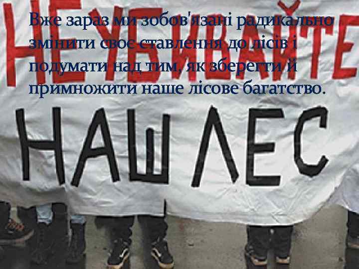 Вже зараз ми зобов'язані радикально змінити своє ставлення до лісів і подумати над тим,