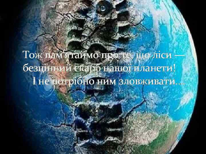 Тож пам'ятаймо про те, що ліси — безцінний скарб нашої планети! І не потрібно